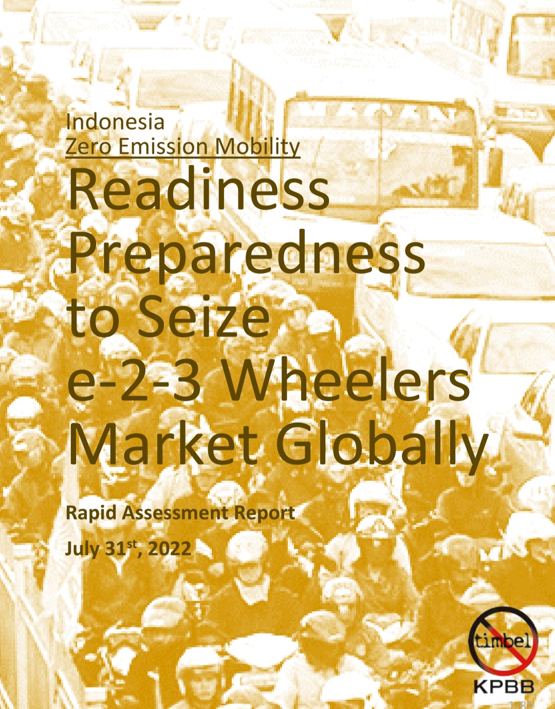 Rapid Assessment Report